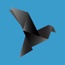 Blackbird Lab
