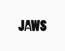 Jaws
